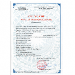 CONSTRUCTION ACTIVITY CAPACITY CERTIFICATE
